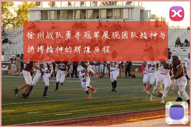 徐州战队勇夺冠军展现团队精神与拼搏精神的辉煌历程
