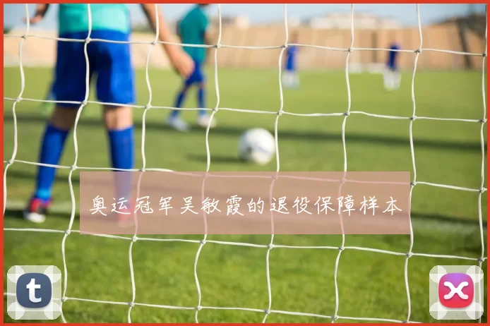 奥运冠军吴敏霞的退役保障样本