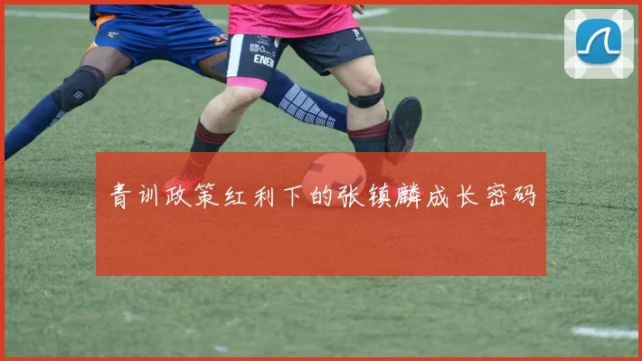 青训政策红利下的张镇麟成长密码