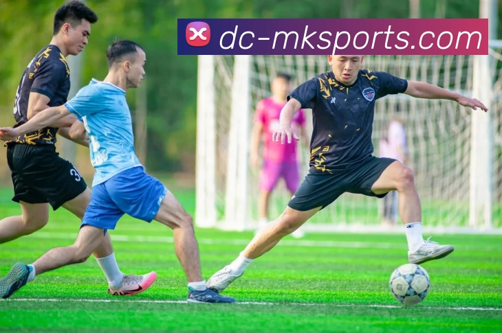 App Interface Preview